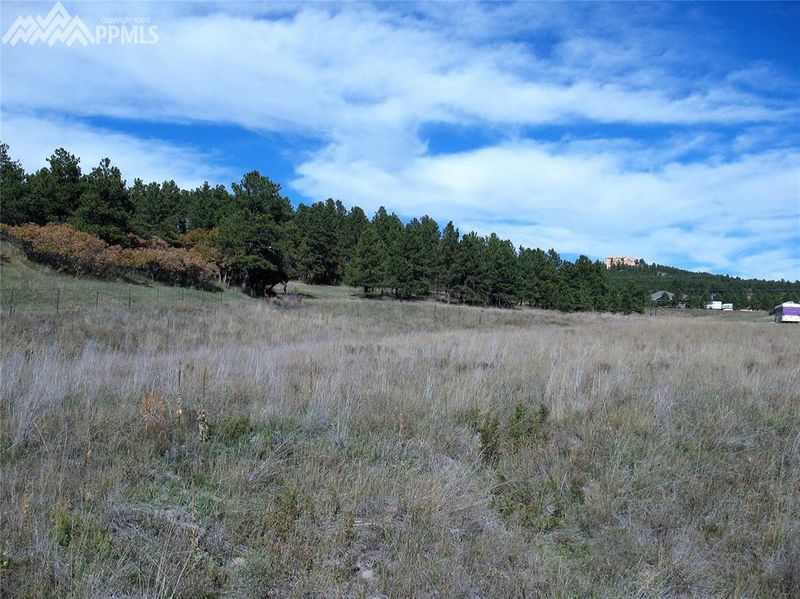 0 Illumination Point, Palmer Lake, CO 80133
