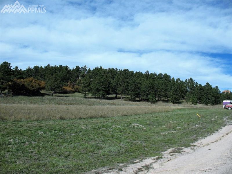 0 Illumination Point, Palmer Lake, CO 80133