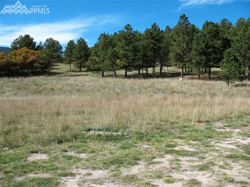 0 Illumination Point, Palmer Lake, CO 80133