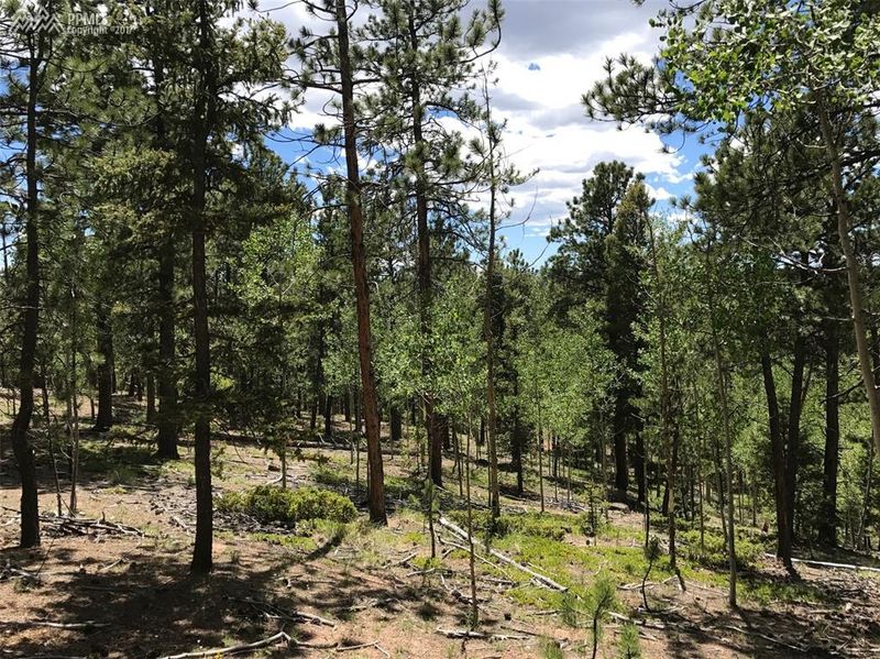 0 Lilac Ln, Divide, CO 80814