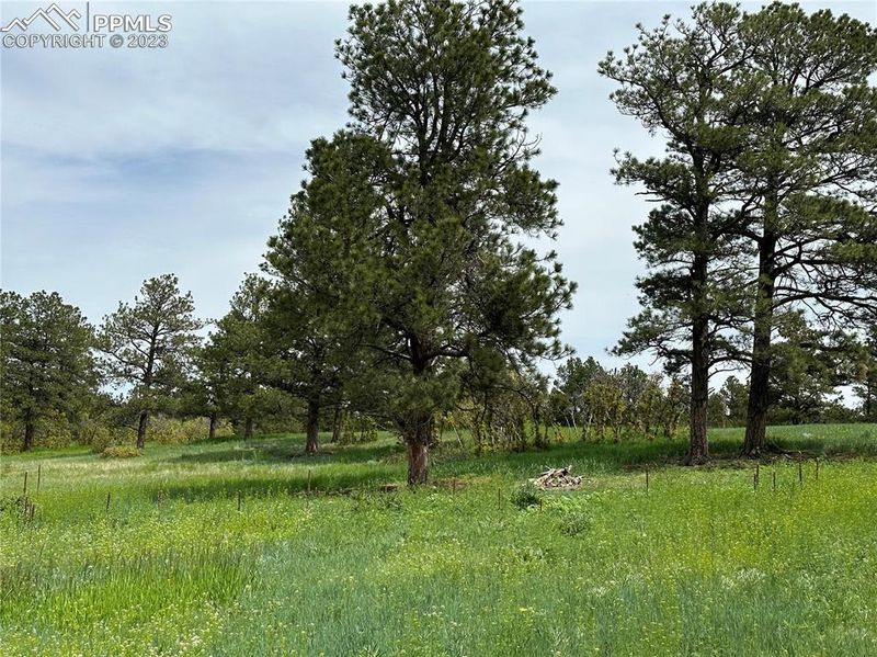 0 Lorraine Rd, Larkspur, CO 80118