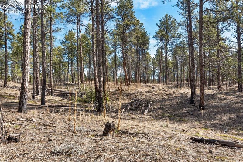 0 Meridian Rd, Elbert, CO 80106