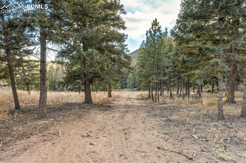 0 Mountain Ranch Rd, Larkspur, CO 80118