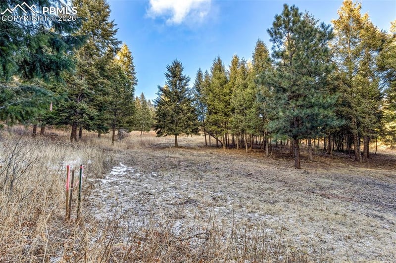 0 Mountain Ranch Rd, Larkspur, CO 80118