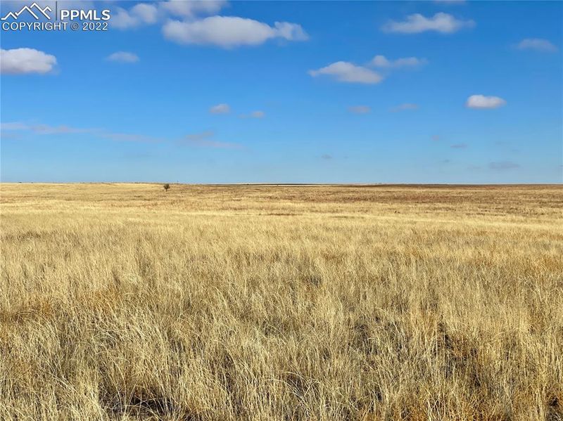 0 Myers Rd, Yoder, CO 80864