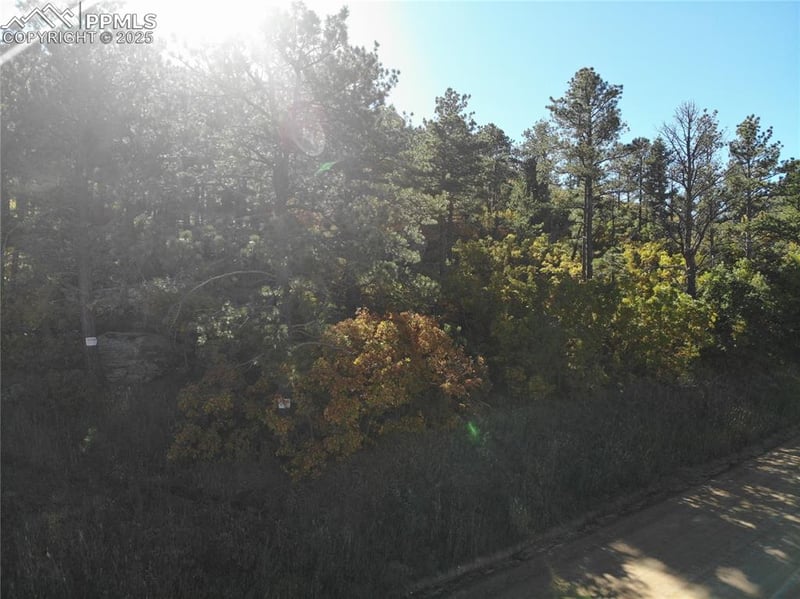 Oakdale Ter, Palmer Lake, CO 80133
