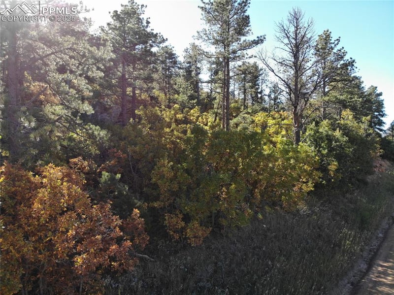 Oakdale Ter, Palmer Lake, CO 80133