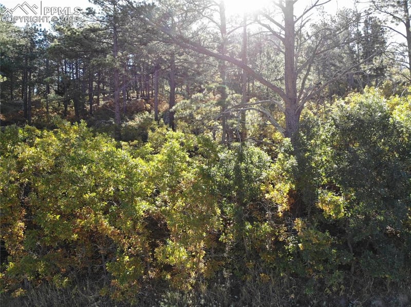 Oakdale Ter, Palmer Lake, CO 80133