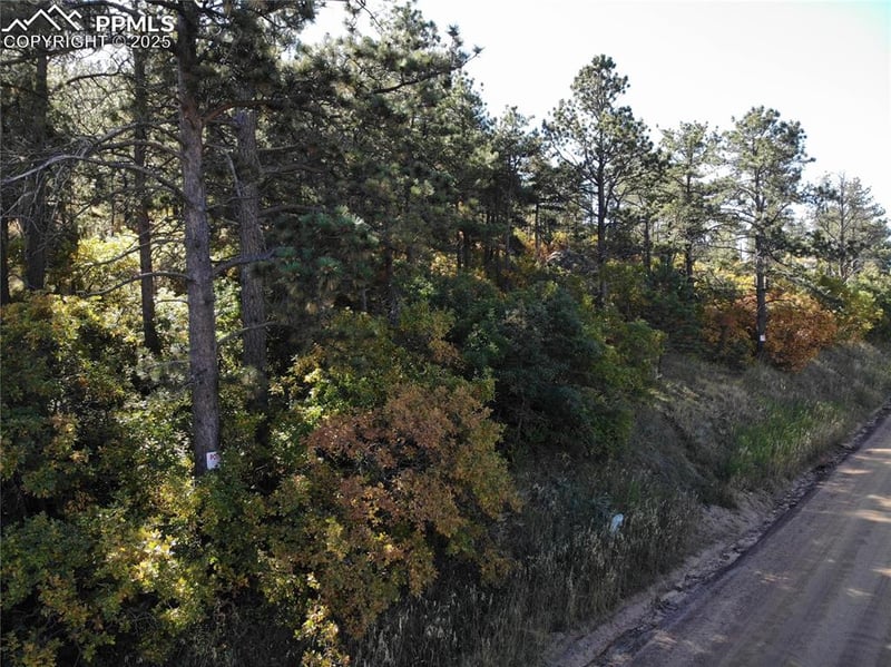 Oakdale Ter, Palmer Lake, CO 80133