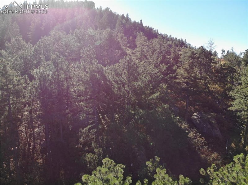 Oakdale Ter, Palmer Lake, CO 80133