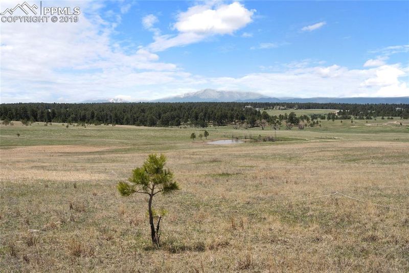 0 E Palmer Divide Ave, Larkspur, CO 80118