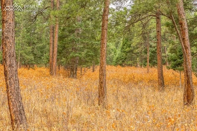 0 S Perry Pk, Larkspur, CO 80118