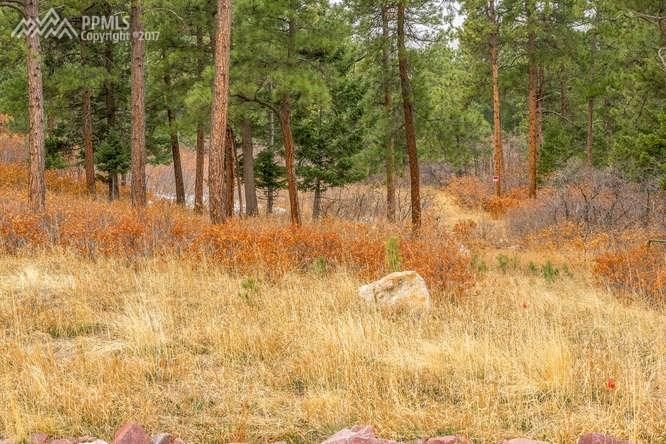 0 S Perry Pk, Larkspur, CO 80118