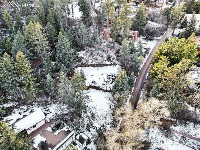 0 Pine Ln, Colorado Springs, CO 80906