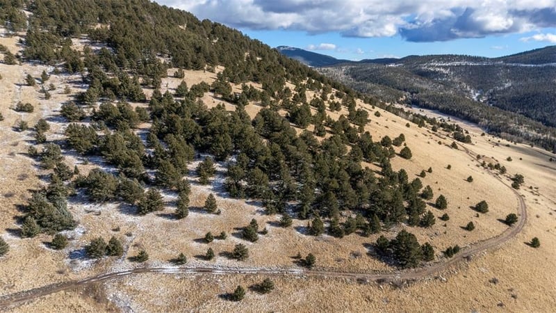 Private Rd, Cripple Creek, CO 80813