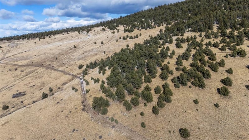 Private Rd, Cripple Creek, CO 80813