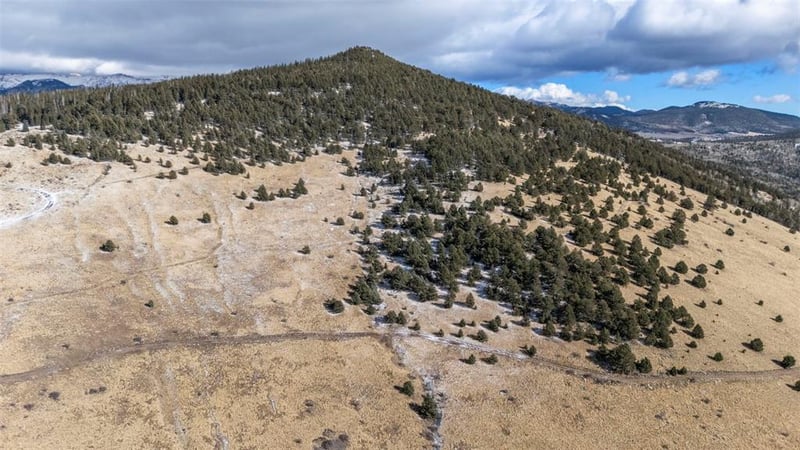 Private Rd, Cripple Creek, CO 80813