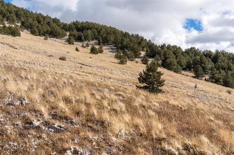 Private Rd, Cripple Creek, CO 80813