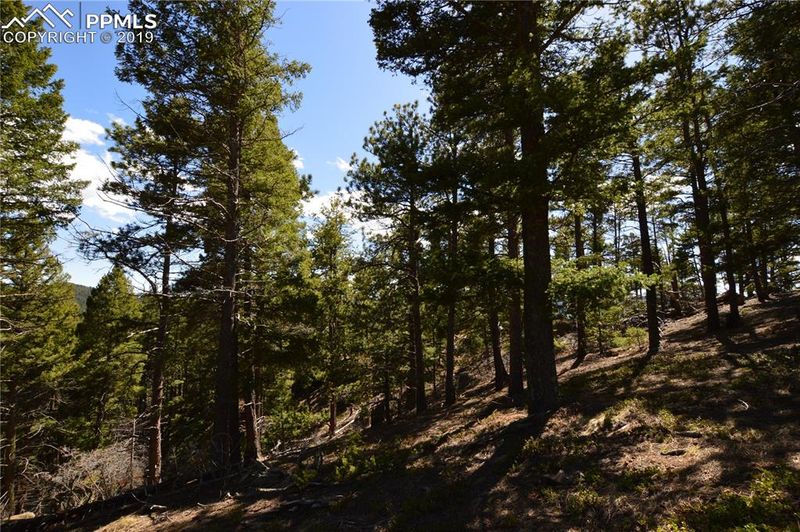 0 Quaking Aspen Ln, Larkspur, CO 80118