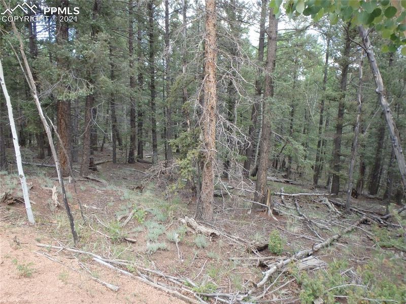 0 Rainbow Ln, Divide, CO 80814