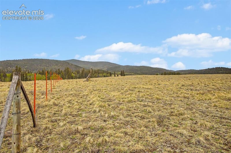 Ranger Station Rd, Florissant, CO 80846