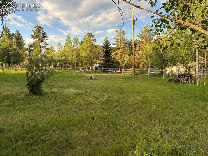 Rodeo Way, Woodland Park, CO 80863