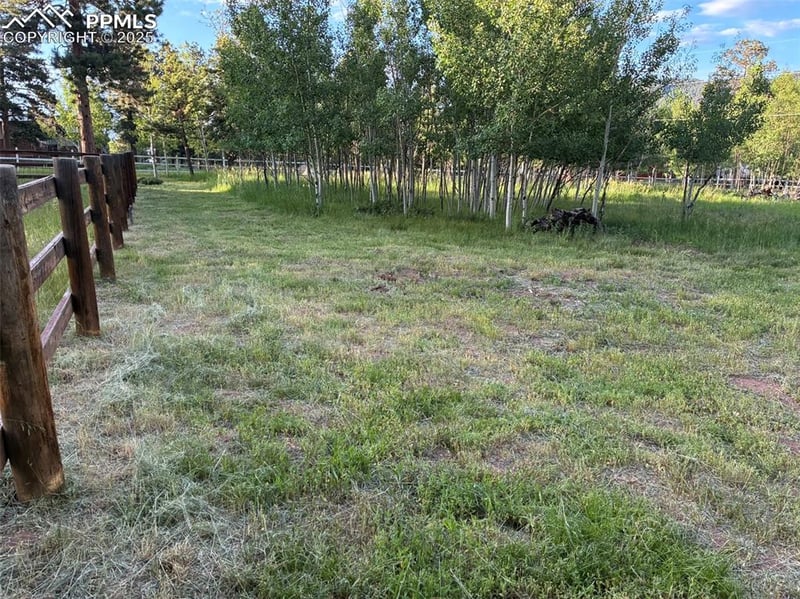Rodeo Way, Woodland Park, CO 80863