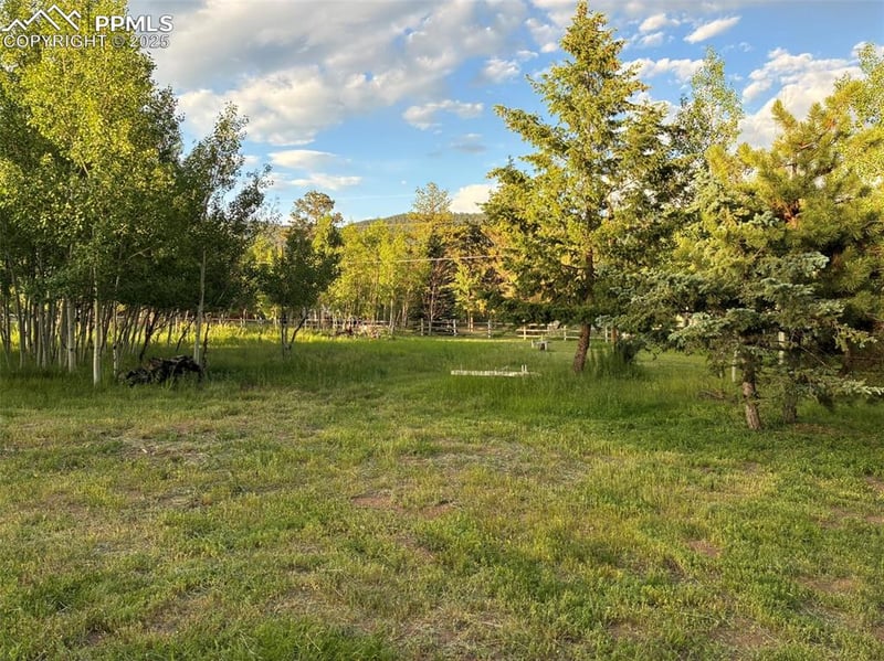 Rodeo Way, Woodland Park, CO 80863