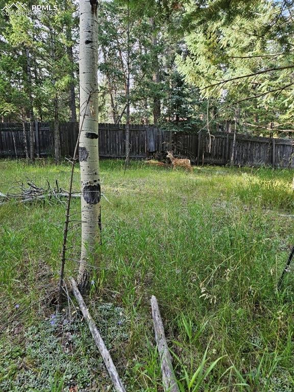 Rolling Park Dr, Woodland Park, CO 80863
