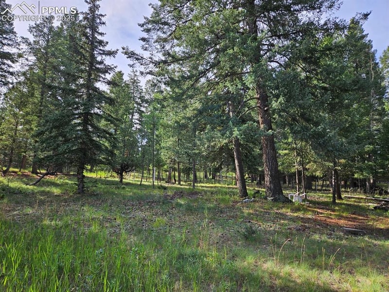 Rolling Park Dr, Woodland Park, CO 80863