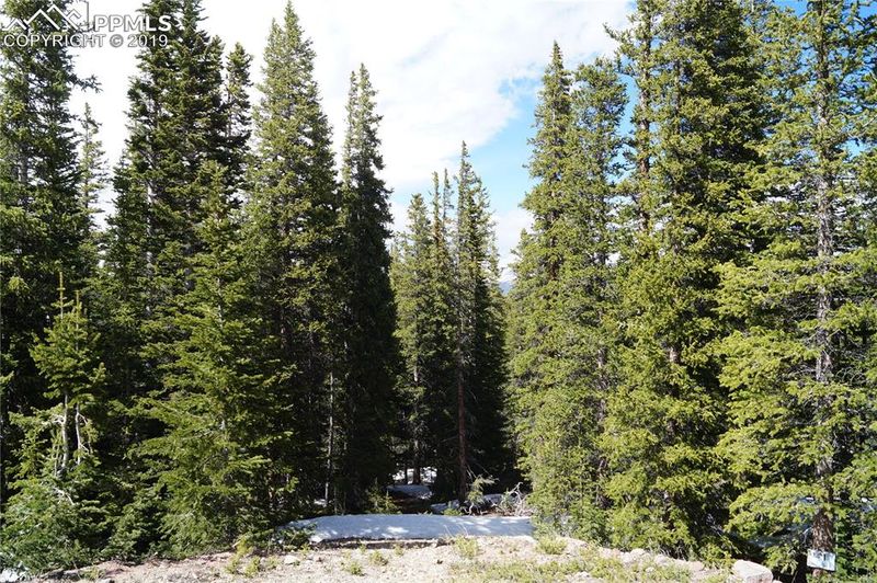 0 Silverheels Cir, Fairplay, CO 80440