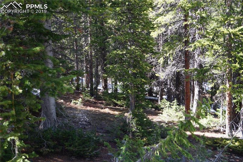 0 Silverheels Cir, Fairplay, CO 80440