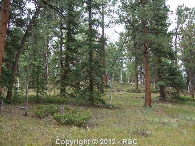 0 Skycrest Ct, Divide, CO 80814