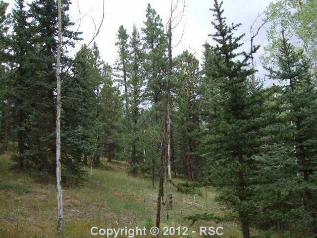 0 Skycrest Ct, Divide, CO 80814