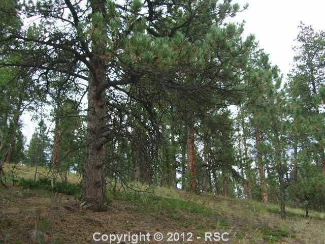0 Skycrest Ct, Divide, CO 80814
