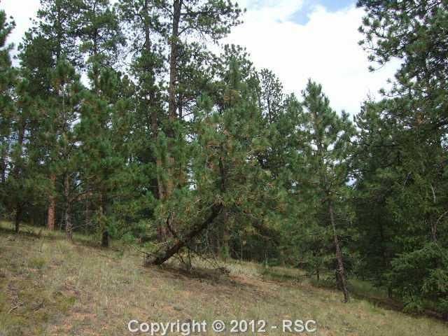 0 Skycrest Ct, Divide, CO 80814