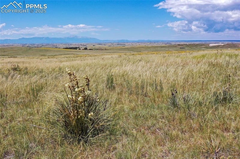 0 Soapweed Rd, Calhan, CO 80808