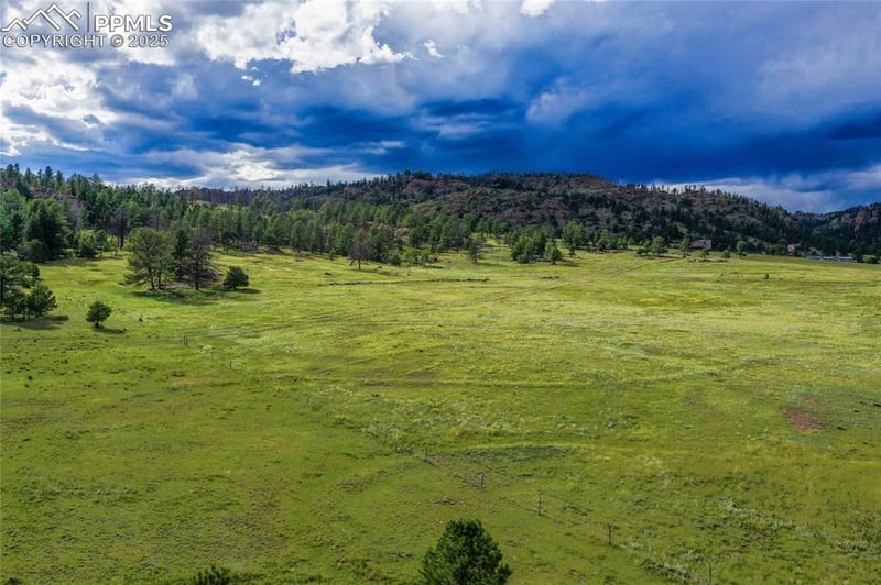 Spring Valley Dr, Florissant, CO 80816