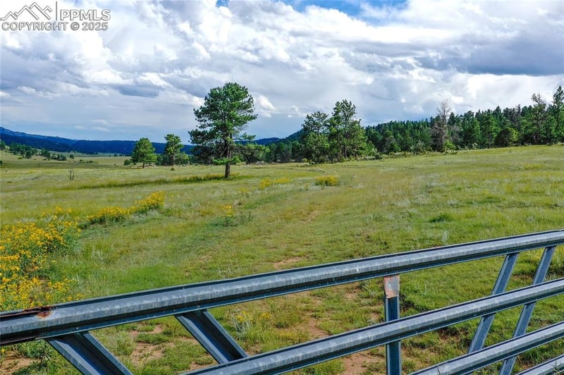 Spring Valley Dr, Florissant, CO 80816