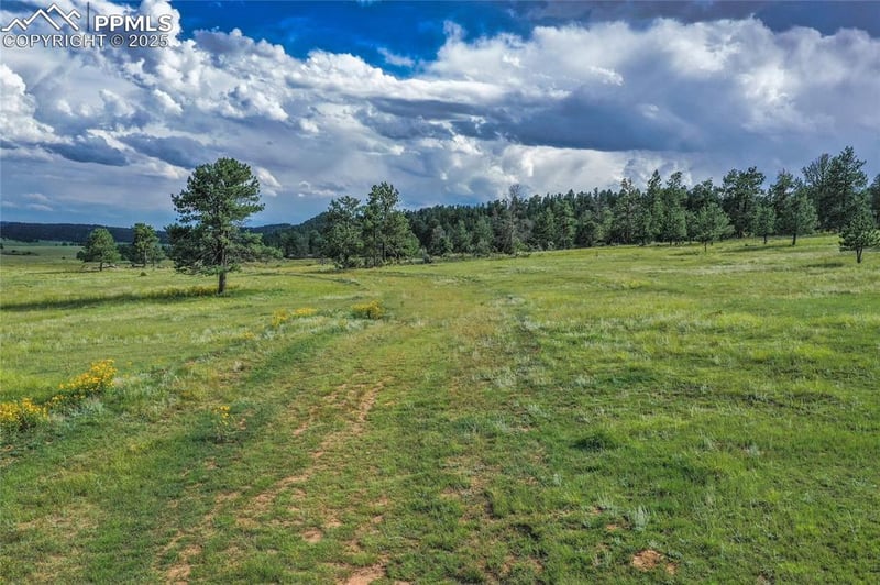 Spring Valley Dr, Florissant, CO 80816