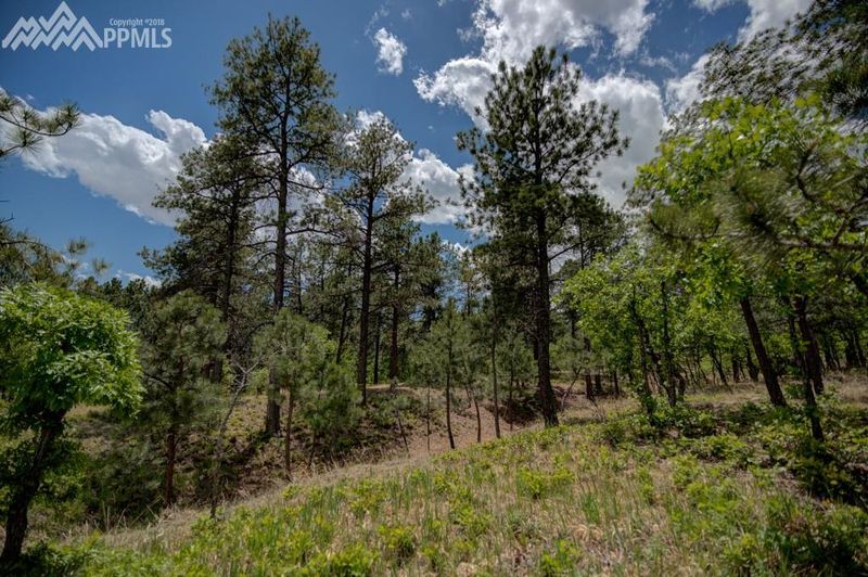 0 Stratton Pines Point, Colorado Springs, CO 80906