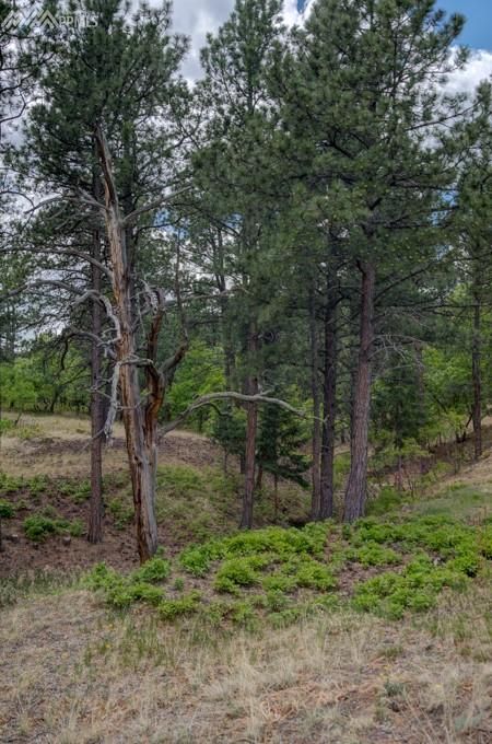 0 Stratton Pines Point, Colorado Springs, CO 80906