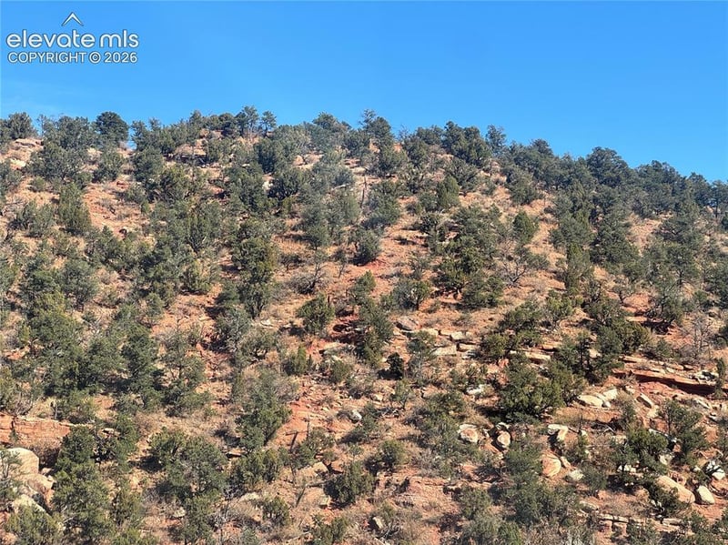 Tarrant St, Manitou Springs, CO 80829