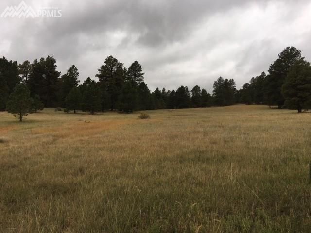 0 Teacup Grv, Peyton, CO 80831