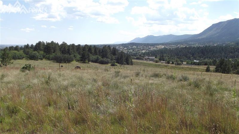 0 Tribal Dr, Palmer Lake, CO 80133
