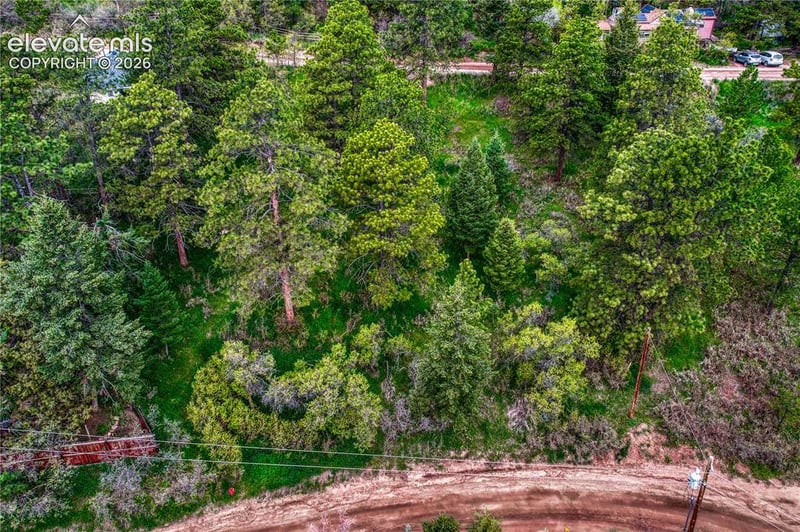 Virginia Ave, Palmer Lake, CO 80133