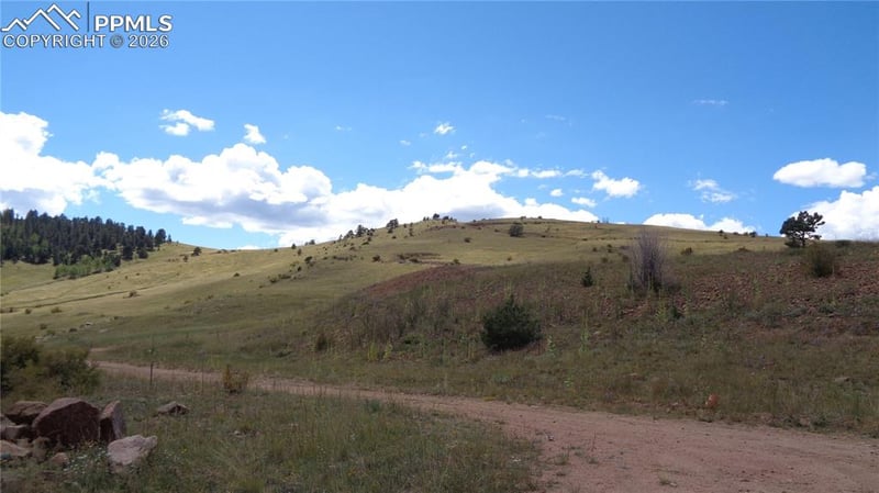Womack St, Cripple Creek, CO 80813