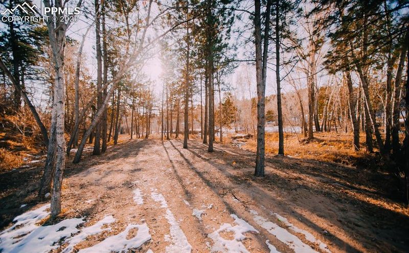 00 Brook St, Palmer Lake, CO 80133