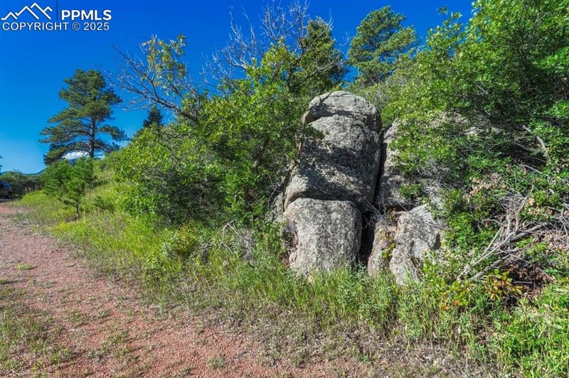 00 Columbine Rd, Larkspur, CO 80118