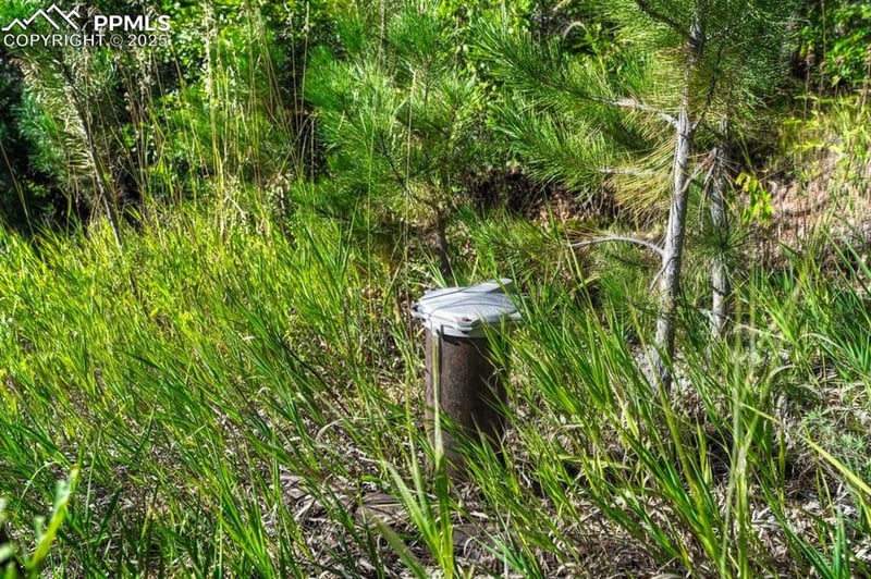 00 Columbine Rd, Larkspur, CO 80118